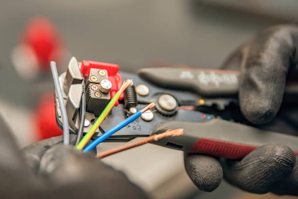 Best 24-Hour Electrician  in Canadian Lakes, MI