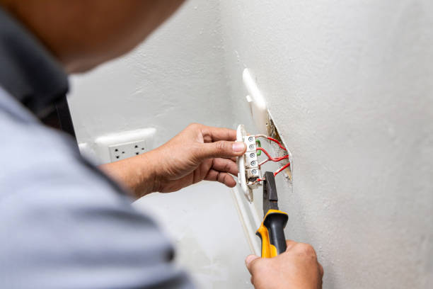 Best Electrical Troubleshooting Services  in Canadian Lakes, MI