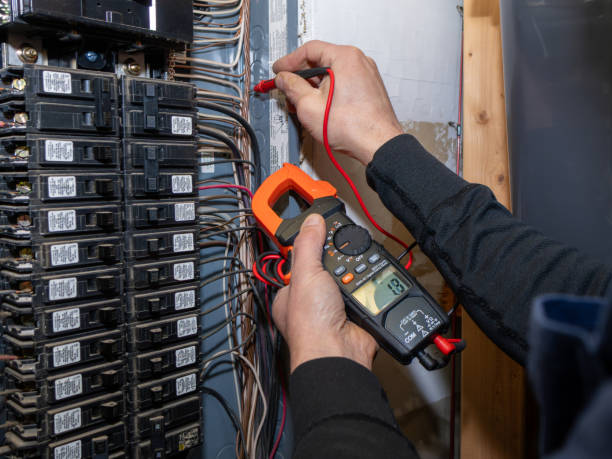Best Affordable Electrician  in Canadian Lakes, MI