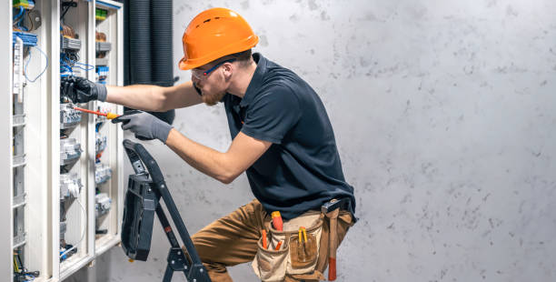 Best Generator Installation Services  in Canadian Lakes, MI