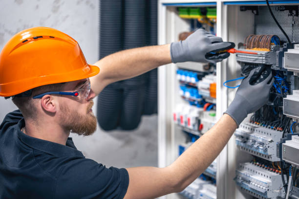Best Home Electrical Repair  in Canadian Lakes, MI